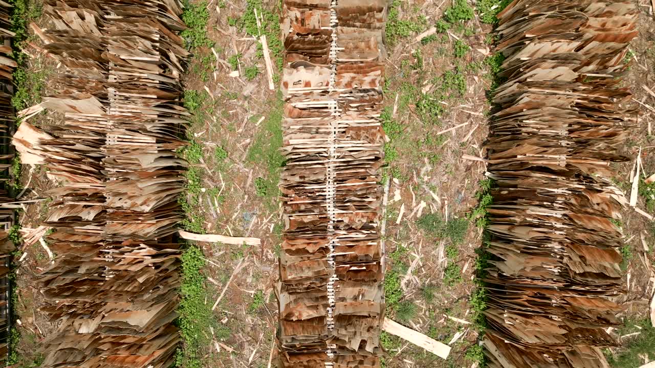 Aerial view of wood drying yard