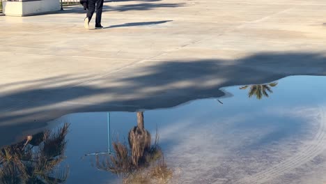 una persona paseando por un paseo marítimo durante una mañana tranquila