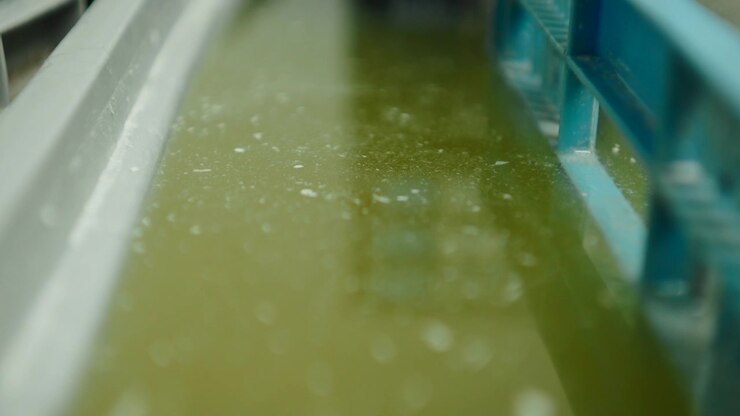 Green Liquid in Industrial Container