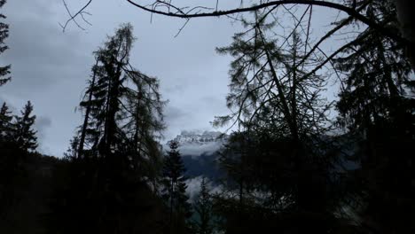 A-snowcapped-mountain-peak-in-the-Alps-in-Switzerland-with-silhouettes-of-tree-branches-and-trunks-in-the-foreground