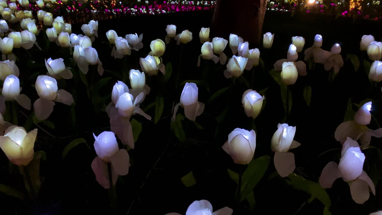 4khd 크리스마스 2020 식물원 오키나와 일본-25