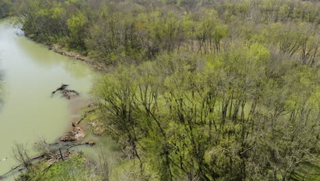 aerial rotating shot of fallen trees floating in the murky middle fork white river