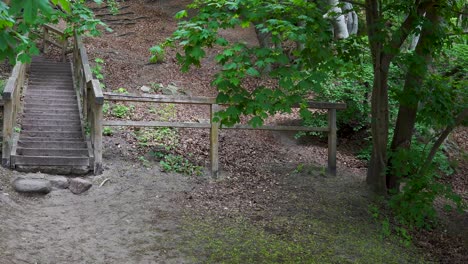 Walking-in-Forest.-Small-path-and-long-line