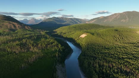 river flowing between the wilderness with lush forest on a sunny day in summer