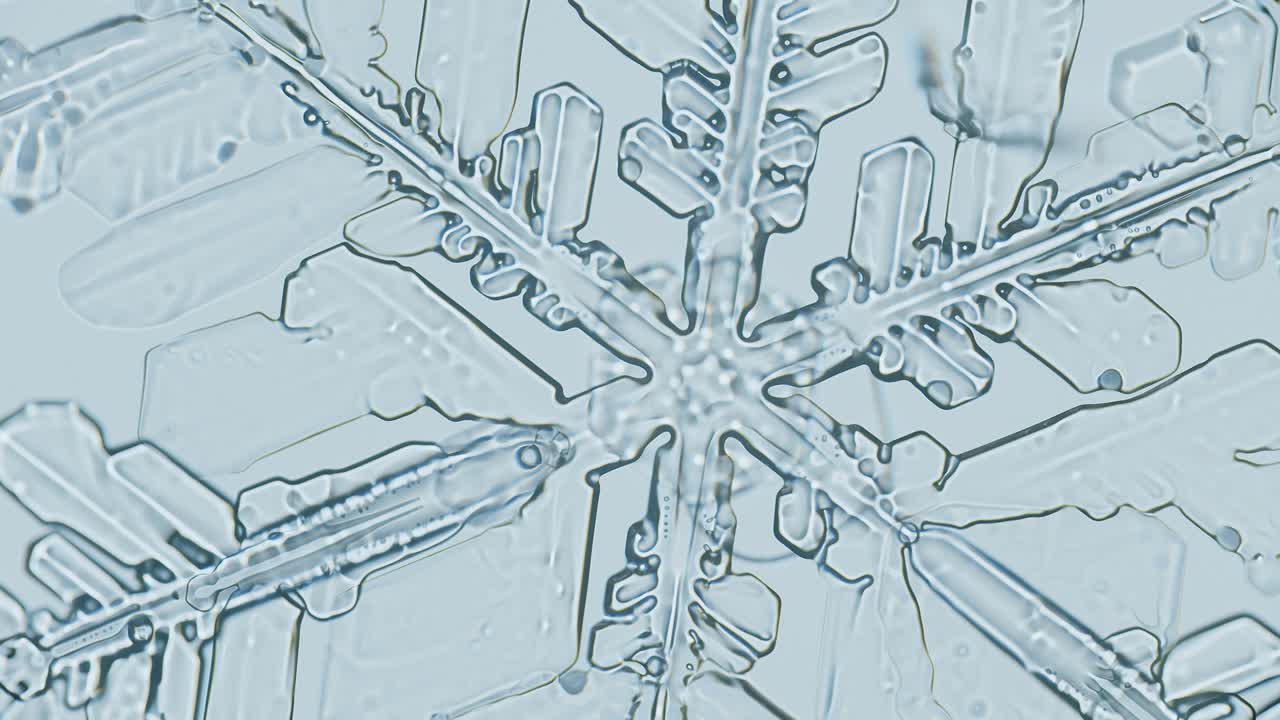 Snowflake ice crystal under microscope brighfield