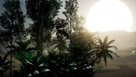 coco palm trees tropical landscape