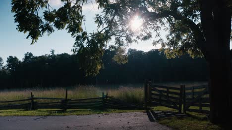 Dolly-in-to-historic-Fields-and-tree-line