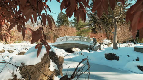 static shot of snow covered bridge with dried leaves in foreground