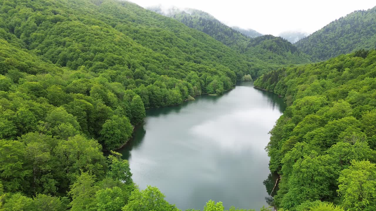 Biogradska Gora national park dense forest and Lake Biograd in summer, Sjerogoste, Drone shot