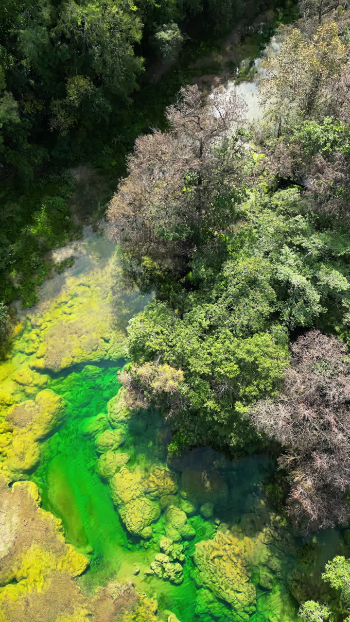 Vista aerea da drone di una cascata che sfocia in un bacino blu profondo circondato da formazioni rocciose e vegetazione. Verticale