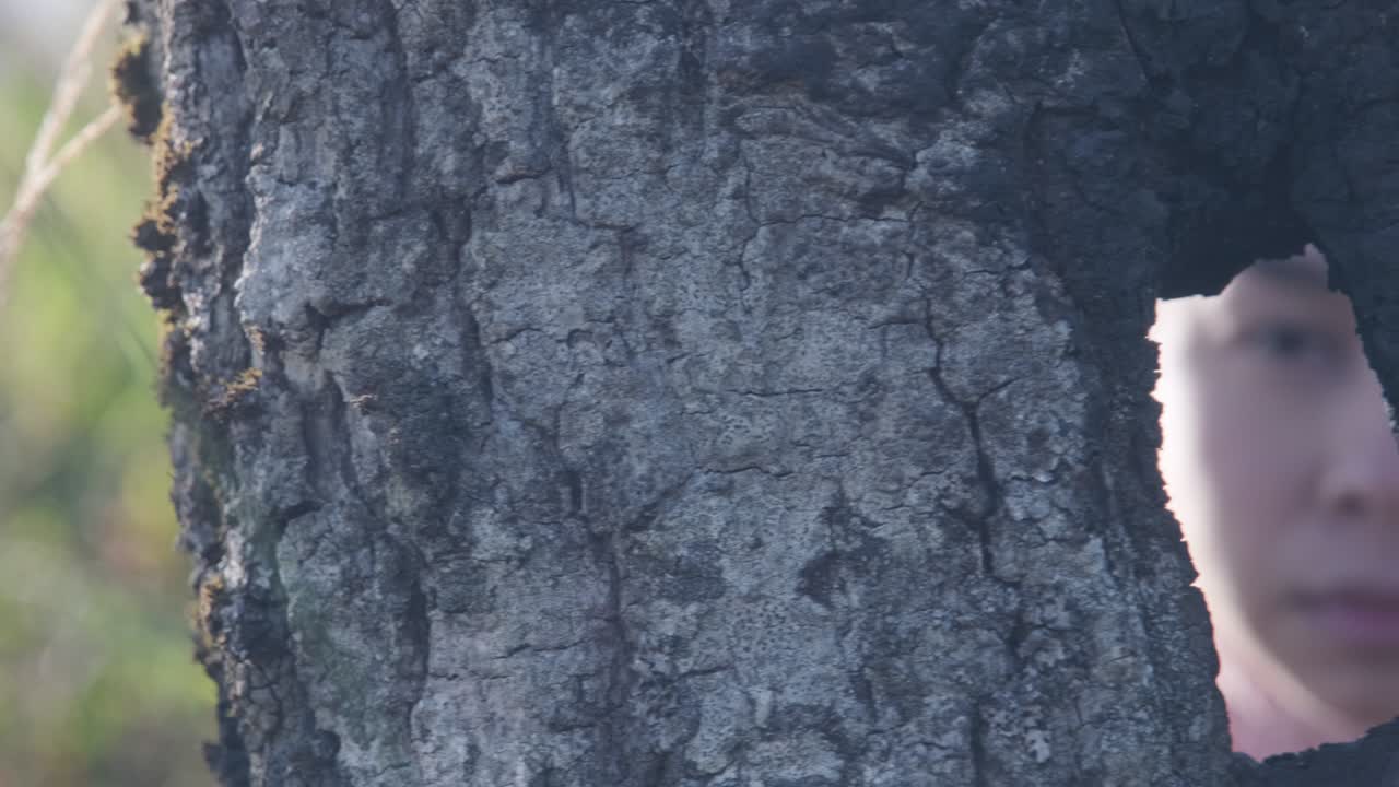 나무 뒤에 숨어있는 여성 관광객이 웃으며 나무 줄기의 작은 구에서 쳐다보는 클로즈업입니다.