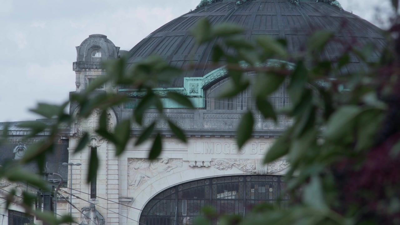 Sculture e ornamenti della facciata superiore della stazione di Limoges. Cupola e tetto in vetro visibili dietro la vegetazione, in primo piano.