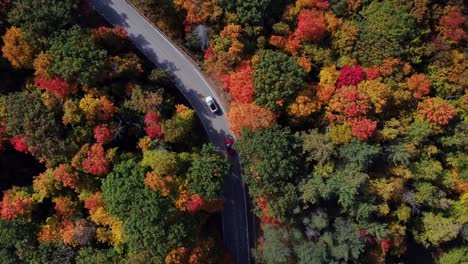 Absteigende-Rotation-Mit-Autos,-Die-Durch-Eine-Kurvige-Landstraße-Mit-Herbstlaub-Auf-Bäumen-Fahren