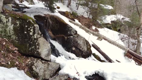 Bach-In-Starker-Strömung-Während-Des-Frühjahrstauwetters-In-Schneebedeckten-Wäldern