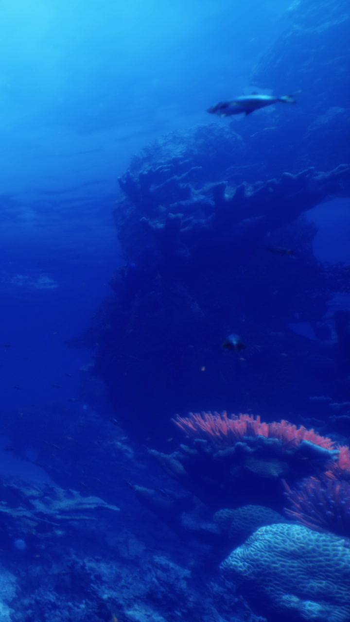 Underwater adventure in a colorful coral reef habitat