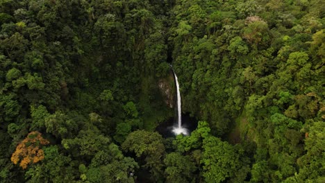 Focused-huge-incredible-waterfall-flowing-in-dense-rainforest-environment