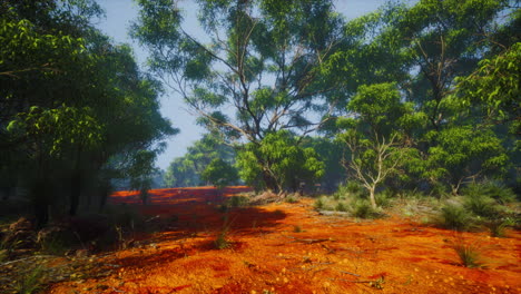 coastal vegetation with trees and shrubs