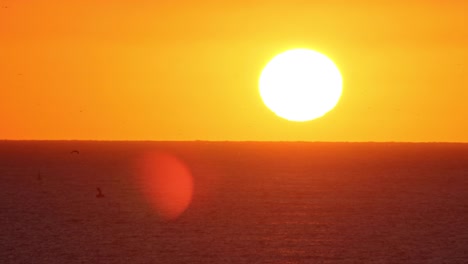 vídeo de atardeceres rojos sobre el mar.