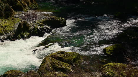 Elk-River-water-flowing-over-rocks-in-untouched-nature,-Oregon