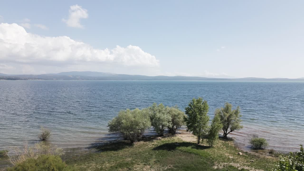 gran lago con una hermosa playa y grandes árboles