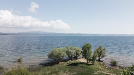 big lake with a beautiful beach and big trees