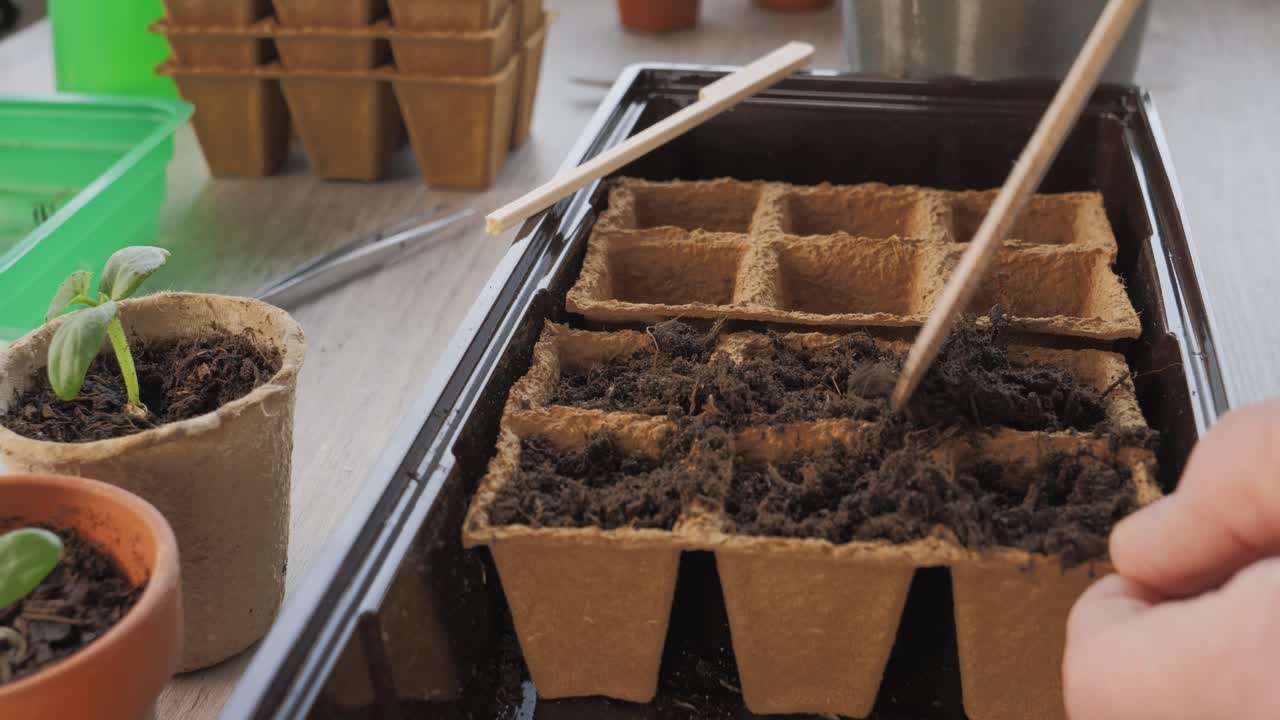 Primo piano: Riempimento di vasi di torba biodegradabili con terriccio scuro per la germinazione di semi in interni.