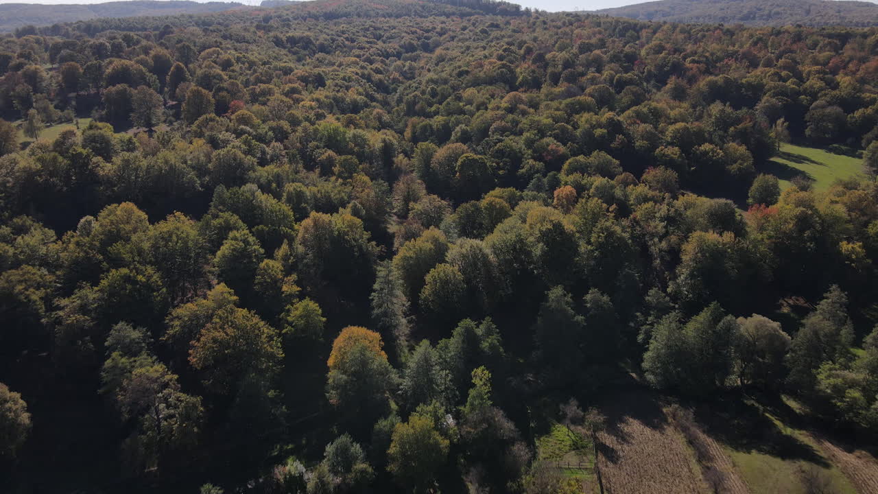 Revealing shot over a forest with autumn colors in Romania 4K