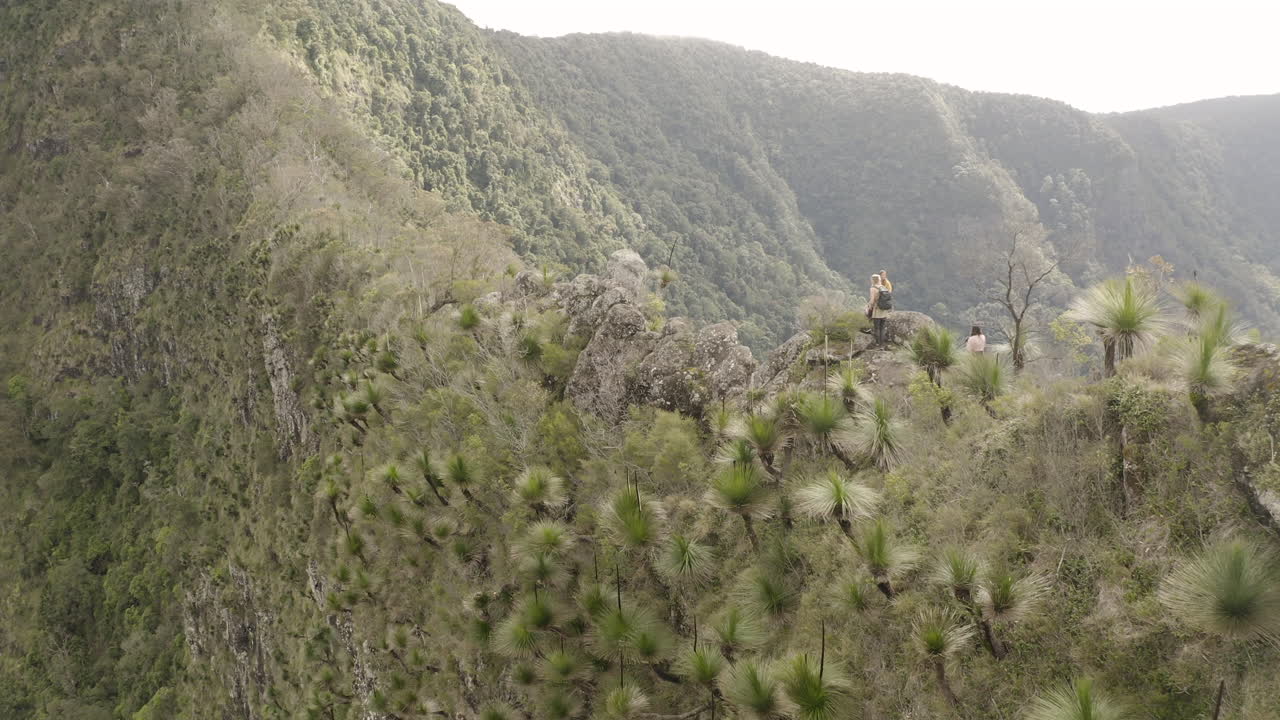 toma de dron de 4k de excursionistas sentados y descansando en un hermoso acantilado de la columna vertebral de la montaña en el parque nacional border ranges, nueva gales del sur, australia