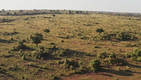 Toma-Aérea-De-Un-Dron-Africano-Del-Paisaje-Masai-Mara-En-Kenia,-Hermosa-Vista-Del-Vasto-Paisaje-Africano-Desde-Lo-Alto,-Gran-Angular-Estableciendo-Tomas-Volando-Sobre-árboles,-Matorrales-Y-Naturaleza