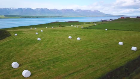 Eine-Antenne-über-Großen-Weißen-Heuballen,-Die-In-Plastikzylinder-Gewickelt-Sind,-Wie-Marshmallows-Auf-Den-Feldern-Islands