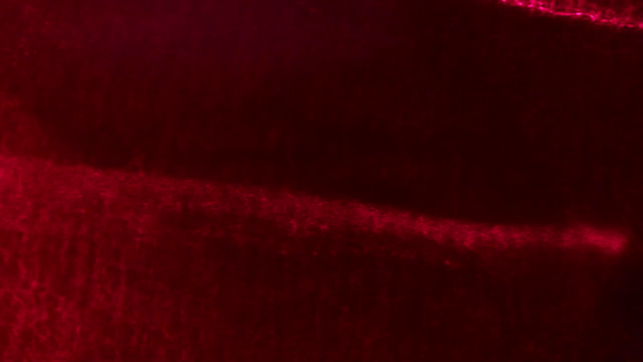 Abstract Pink and White Energy Burst on Dark Background