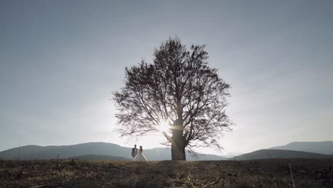 una silueta de una novia y un novio al atardecer