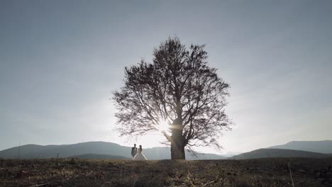 a silhouette of a bride and groom at sunset