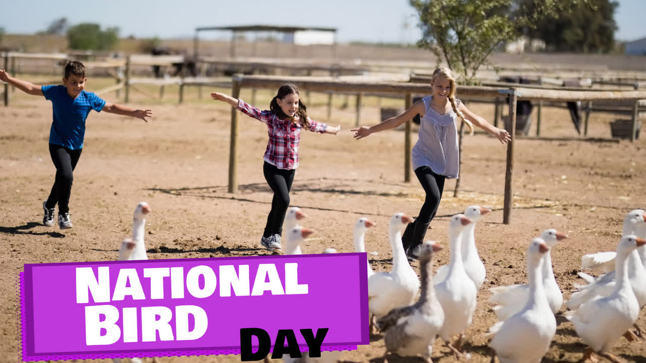 농장에서 거위 는 어머니, 아들, 딸 위에 보라색으로 된 국가 새 날 텍스트의 애니메이션