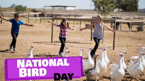 animation of national bird day text on purple over mother, son and daughter chasing geese on farm