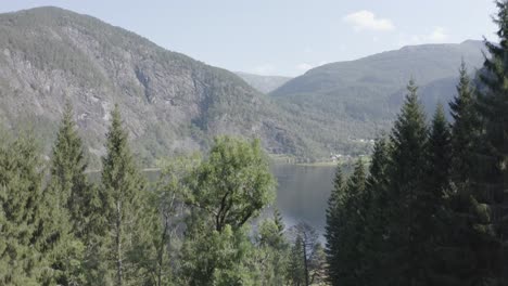 descendiendo para revelar una vieja casa abandonada en lo profundo del bosque