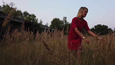 fantastic slow motion cinematic shot lonely girl in red dress picks cornflowers in field and throws them up. gimbal foto video shoot on lost places in wild nature 1080, 24p by philipp marnitz