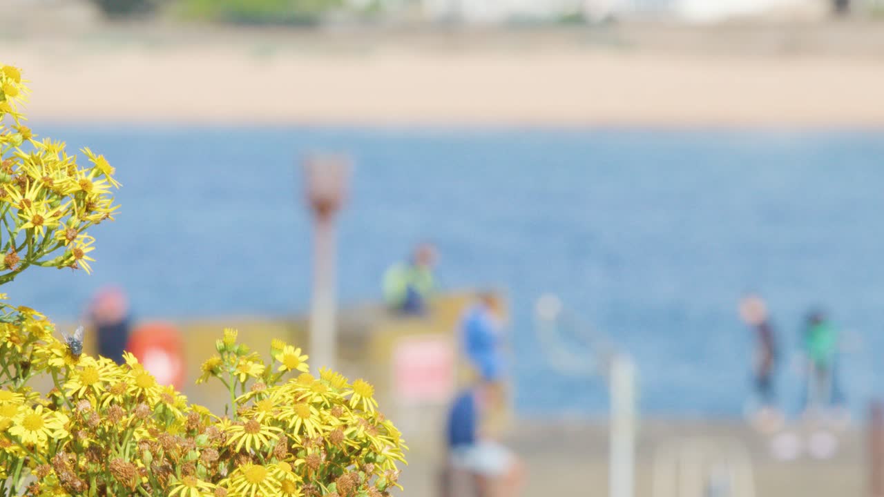 Groups of people walk along a seaside promenade on a sunny day, with foreground foliage in focus and background intentionally blurred, creating a soft, vibrant atmosphere