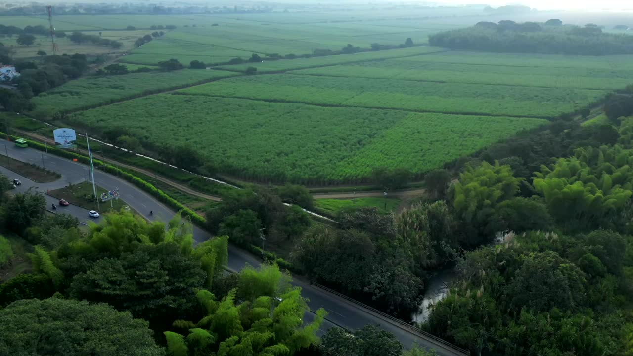 Hyperlapse Cali South Entrance Green surroundings. Sugar Cane Plantations