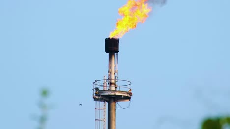 Brennender-Gaskamin-Mit-Flammen-Auf-Einem-Industrieturm