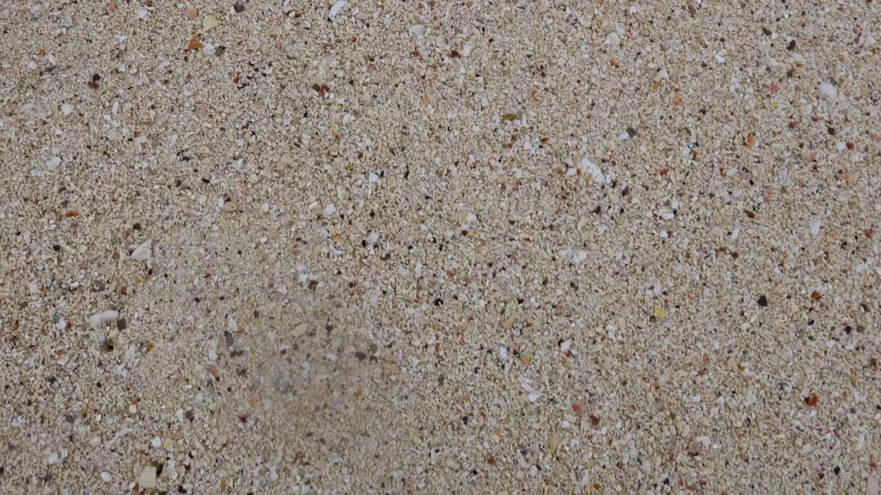 모래 해변 표면에 어져 있는 데기