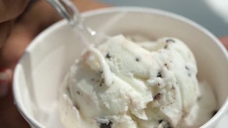 close up of chocolate chip ice cream