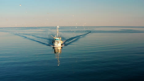 Bandada-De-Gaviotas-Voladoras-En-Un-Barco-De-Pesca-En-El-Mar-Adriático-Cerca-Del-Puerto-De-Rovinj-En-Istria,-Croacia-Durante-El-Amanecer