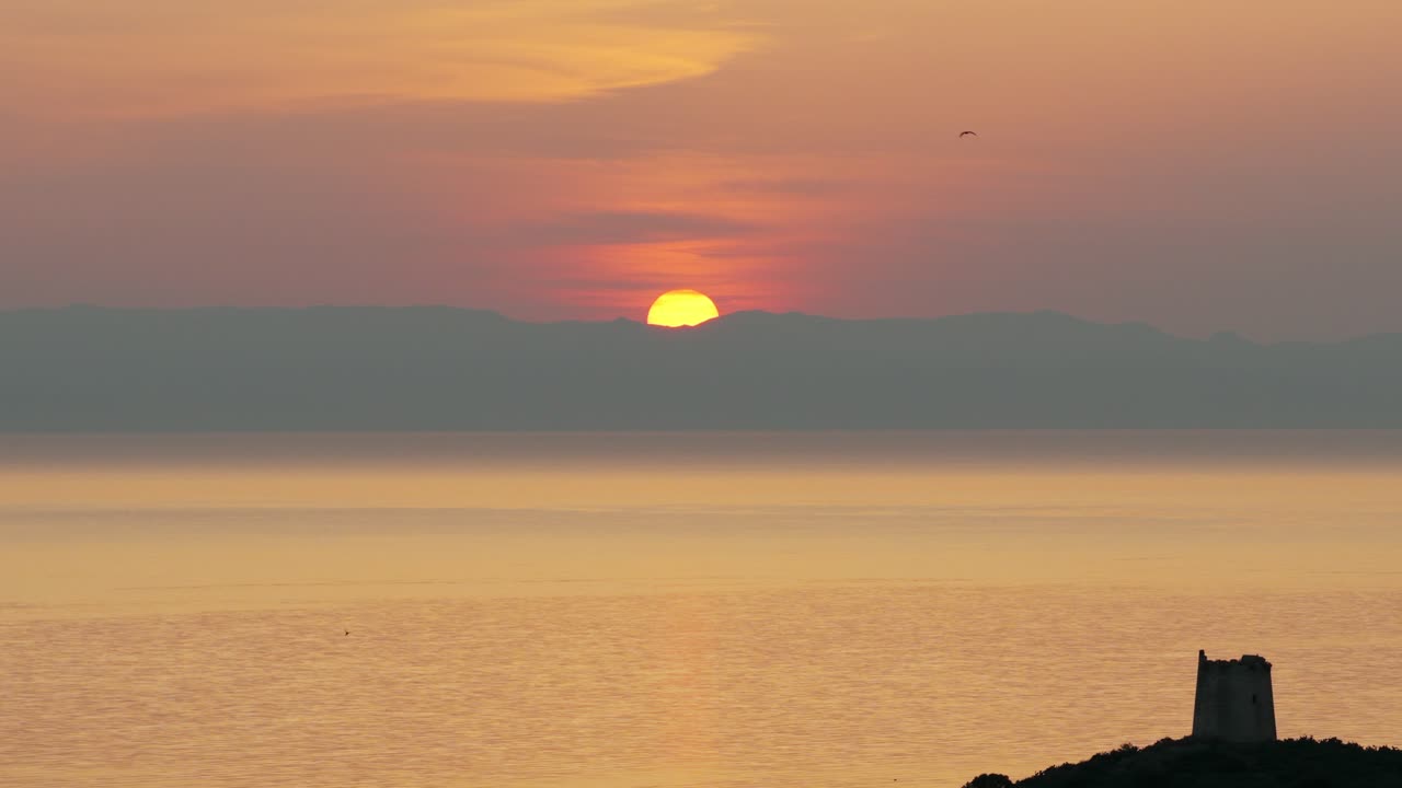 Golden sunset over peaceful ocean waters with silhouetted birds in the distance.