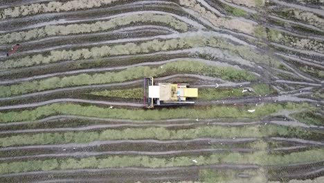 Bird-eye-view-eagle-fly-over-harvester-in-paddy-field-at-Penang,-Malaysia.