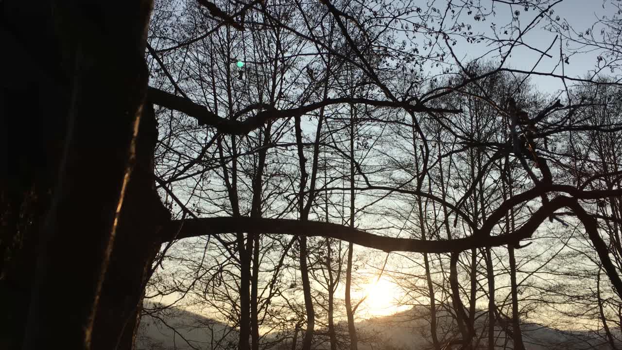 이른 봄 시즌, 일몰에서 오는 아름다운 빛과 함께 숲길을 걷다