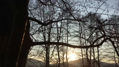 caminando por un camino forestal, a principios de la temporada de primavera, con una hermosa luz proveniente de la puesta del sol