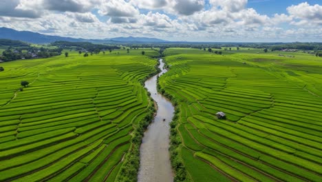 stunning aerial view of lush green rice terraces surrounded by waterway and scenic hills under a bright blue sky with fluffy clouds