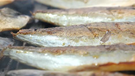 caballa a la parrilla en una parrilla
