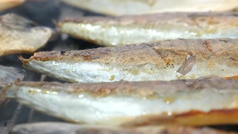 grilled mackerel on a grill